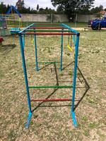 Double Swing Monkey Bars